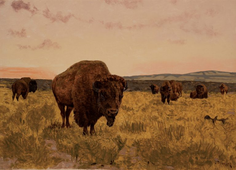 Untitled (Bison)