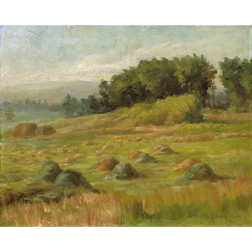 Hay Field by Emma Richardson Cherry